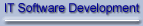 IT Software Development